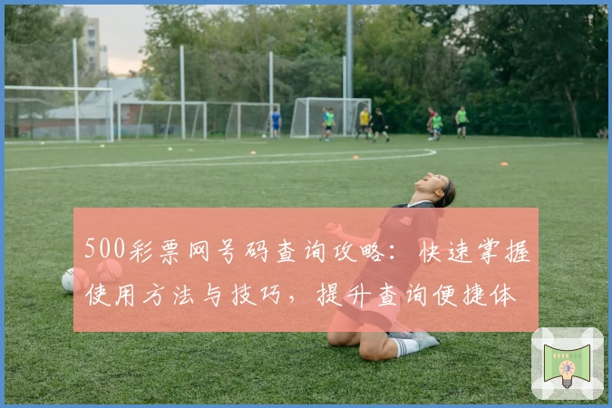 500彩票网号码查询攻略：快速掌握使用方法与技巧，提升查询便捷体验
