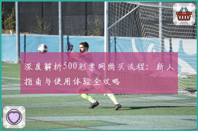深度解析500彩票网购买流程：新人指南与使用体验全攻略