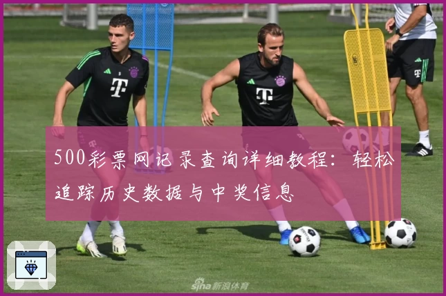 500彩票网记录查询详细教程：轻松追踪历史数据与中奖信息