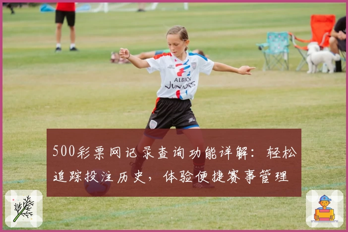 500彩票网记录查询功能详解：轻松追踪投注历史，体验便捷赛事管理