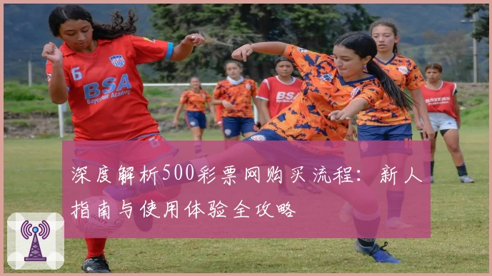 深度解析500彩票网购买流程：新人指南与使用体验全攻略