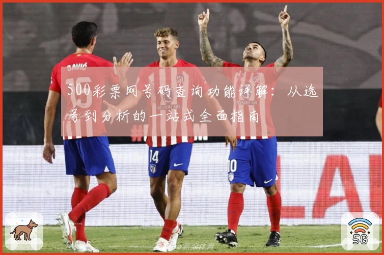 500彩票网号码查询功能详解：从选号到分析的一站式全面指南